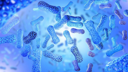 Wat is het verschil tussen Resveratrol en Trans-Resveratrol?